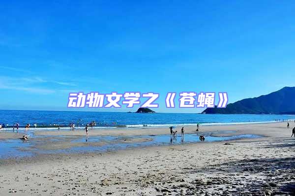 動(dòng)物文學(xué)之《蒼蠅》