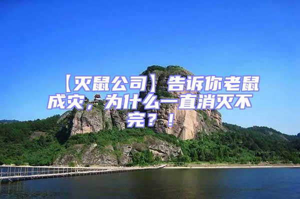 【滅鼠公司】告訴你老鼠成災，為什么一直消滅不完？！