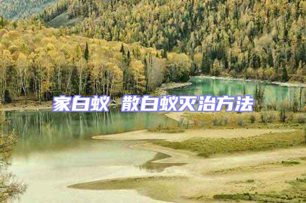 家白蟻 散白蟻滅治方法
