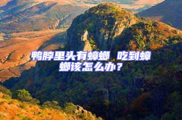 鴨脖里頭有蟑螂 吃到蟑螂該怎么辦？