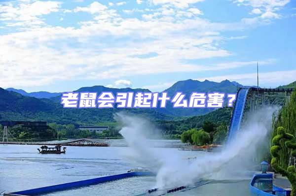 老鼠會(huì)引起什么危害？