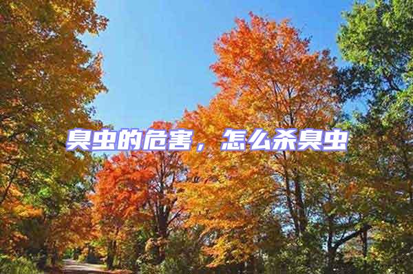臭蟲的危害，怎么殺臭蟲