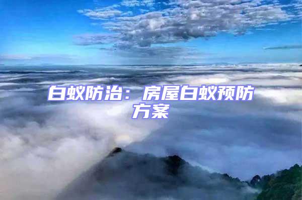 白蟻防治：房屋白蟻預防方案