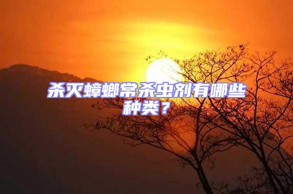 殺滅蟑螂常殺蟲劑有哪些種類？