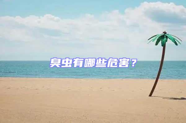臭蟲有哪些危害？