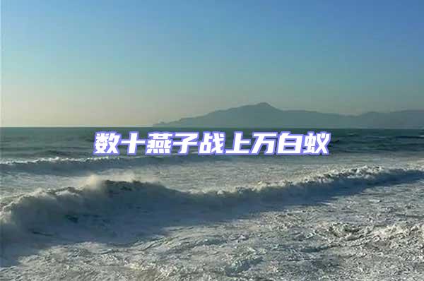 數十燕子戰上萬白蟻