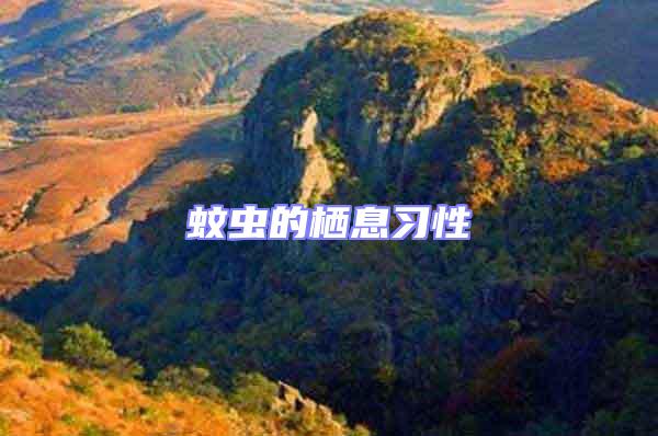 蚊蟲的棲息習(xí)性