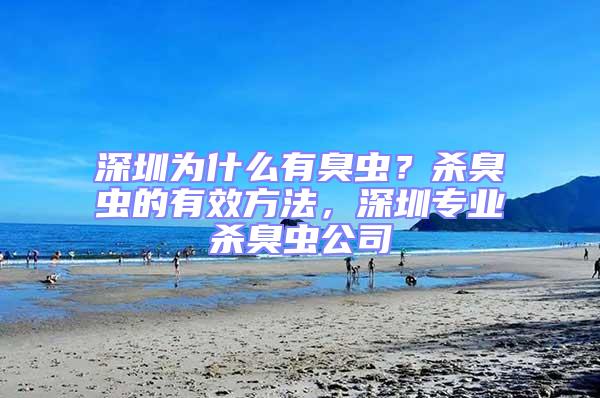 深圳為什么有臭蟲？殺臭蟲的有效方法，深圳專業(yè)殺臭蟲公司