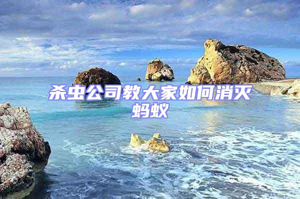 殺蟲公司教大家如何消滅螞蟻