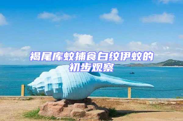 褐尾庫(kù)蚊捕食白紋伊蚊的初步觀察