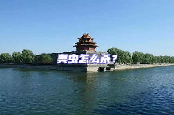 臭蟲怎么殺？