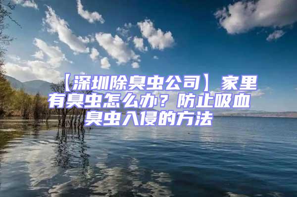【深圳除臭蟲(chóng)公司】家里有臭蟲(chóng)怎么辦？防止吸血臭蟲(chóng)入侵的方法