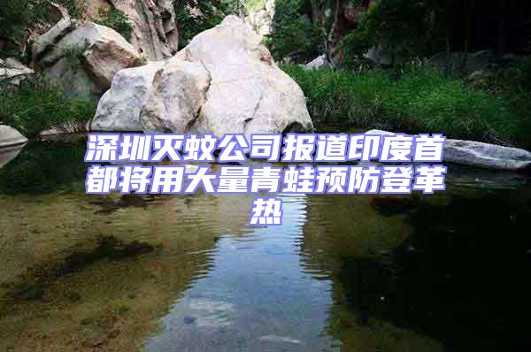 深圳滅蚊公司報(bào)道印度首都將用大量青蛙預(yù)防登革熱