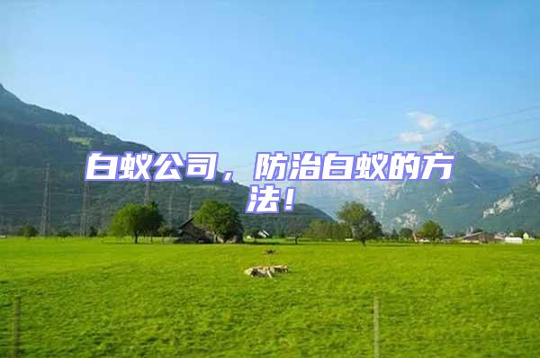 白蟻公司，防治白蟻的方法！