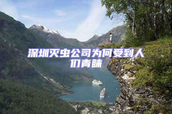 深圳滅蟲公司為何受到人們青睞