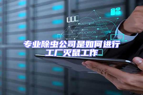 專業(yè)除蟲公司是如何進行工廠滅鼠工作