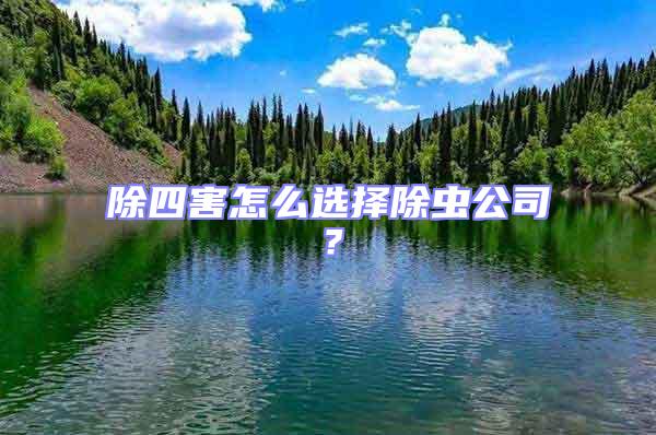 除四害怎么選擇除蟲公司？