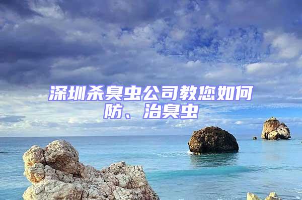 深圳殺臭蟲公司教您如何防、治臭蟲