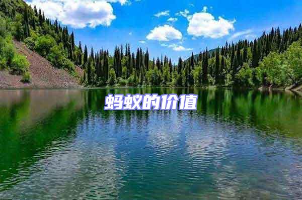 螞蟻的價(jià)值