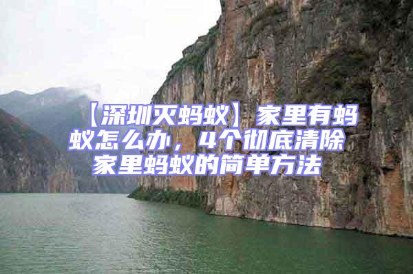 【深圳滅螞蟻】家里有螞蟻怎么辦，4個徹底清除家里螞蟻的簡單方法