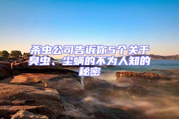 殺蟲公司告訴你5個(gè)關(guān)于臭蟲、塵螨的不為人知的秘密