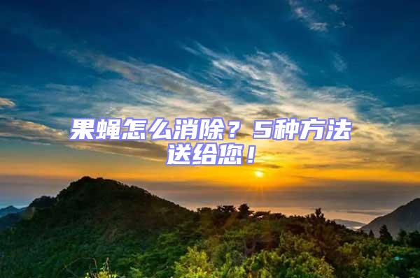 果蠅怎么消除？5種方法送給您！