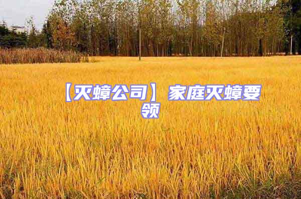 【滅蟑公司】家庭滅蟑要領