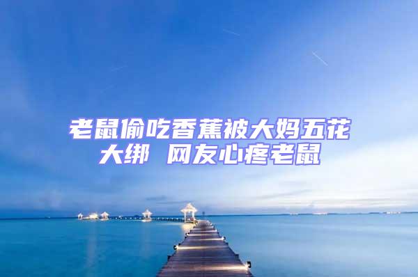 老鼠偷吃香蕉被大媽五花大綁 網(wǎng)友心疼老鼠