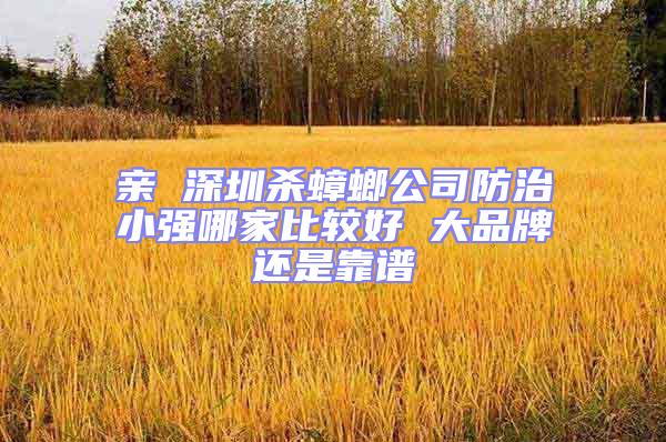 親 深圳殺蟑螂公司防治小強哪家比較好 大品牌還是靠譜