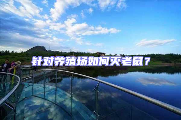 針對養殖場如何滅老鼠？