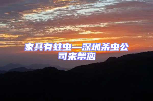 家具有蛀蟲—深圳殺蟲公司來幫您