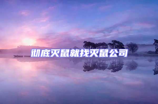 徹底滅鼠就找滅鼠公司