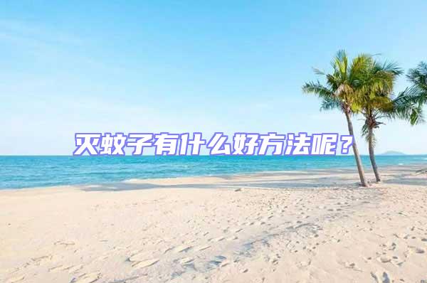 滅蚊子有什么好方法呢？