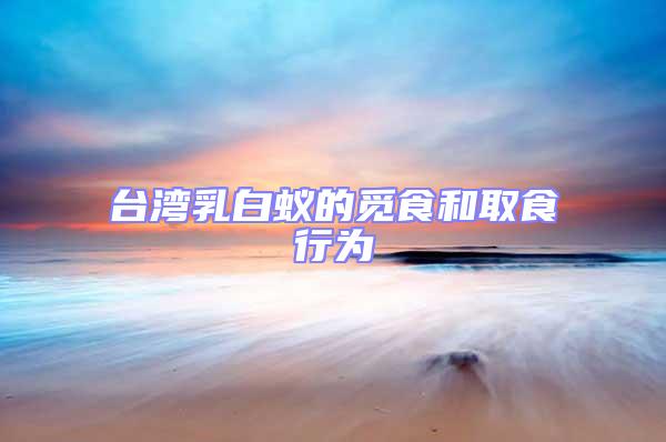 臺灣乳白蟻的覓食和取食行為