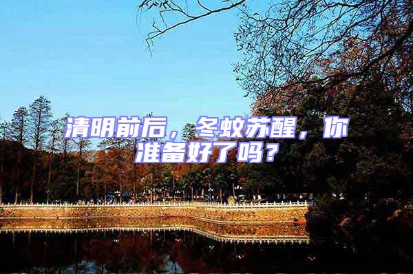 清明前后，冬蚊蘇醒，你準(zhǔn)備好了嗎？
