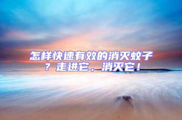 怎樣快速有效的消滅蚊子？走進(jìn)它，消滅它！