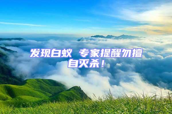 發(fā)現(xiàn)白蟻 專家提醒勿擅自滅殺！