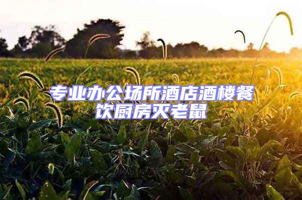 專業辦公場所酒店酒樓餐飲廚房滅老鼠