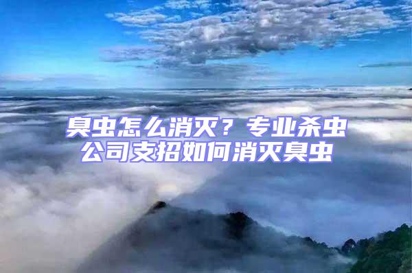 臭蟲怎么消滅？專業(yè)殺蟲公司支招如何消滅臭蟲