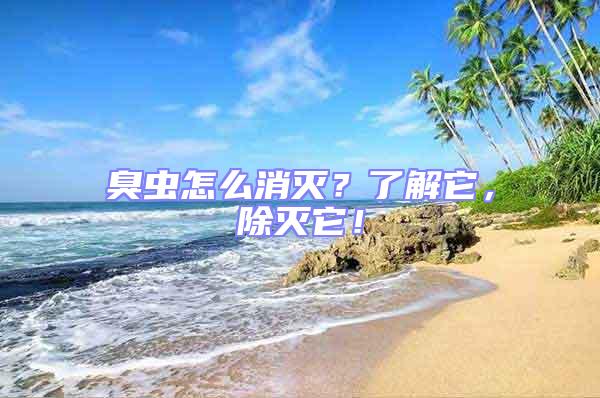臭蟲怎么消滅？了解它，除滅它！