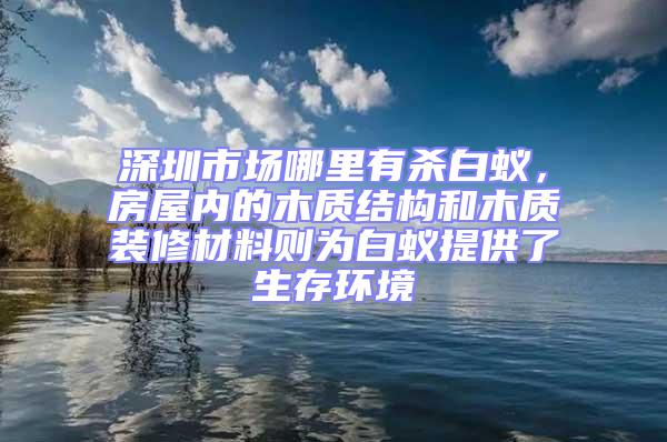 深圳市場哪里有殺白蟻，房屋內的木質結構和木質裝修材料則為白蟻提供了生存環境