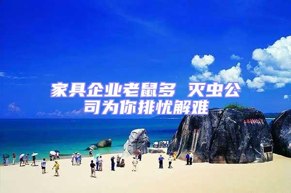家具企業老鼠多 滅蟲公司為你排憂解難