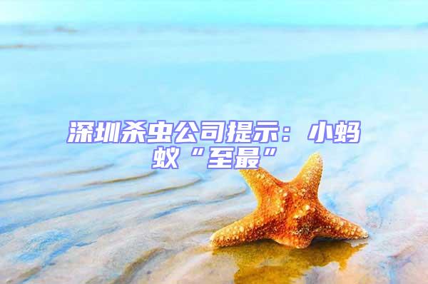 深圳殺蟲公司提示：小螞蟻“至最”