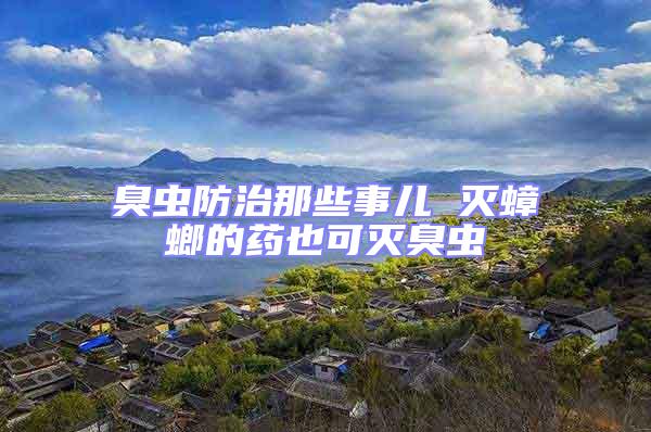 臭蟲防治那些事兒 滅蟑螂的藥也可滅臭蟲