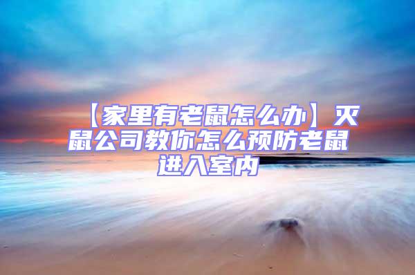 【家里有老鼠怎么辦】滅鼠公司教你怎么預防老鼠進入室內