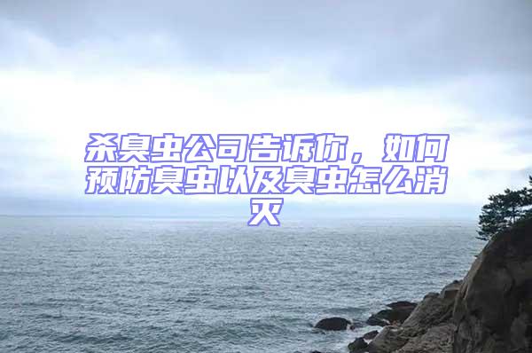 殺臭蟲公司告訴你，如何預防臭蟲以及臭蟲怎么消滅
