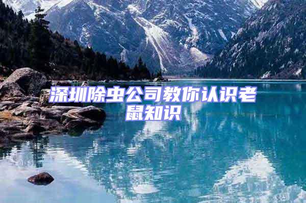 深圳除蟲公司教你認識老鼠知識