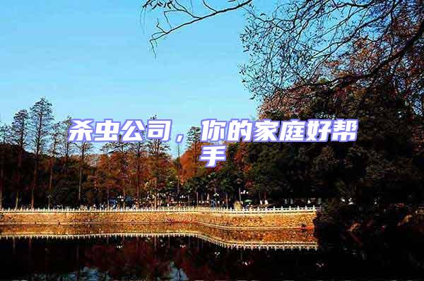 殺蟲公司，你的家庭好幫手
