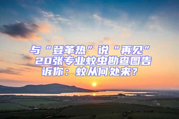 與“登革熱”說“再見” 20張專業(yè)蚊蟲勘查圖告訴你：蚊從何處來？