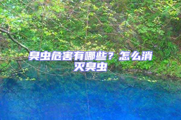 臭蟲危害有哪些？怎么消滅臭蟲